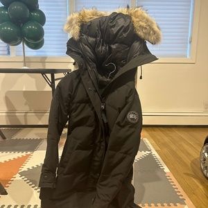 Canada goose shelburne